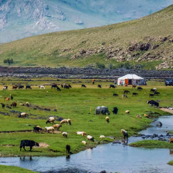 "몽골 고비사막과 테를지 6박 7일 여행 패키지 - ETE Travel Mongolia"
