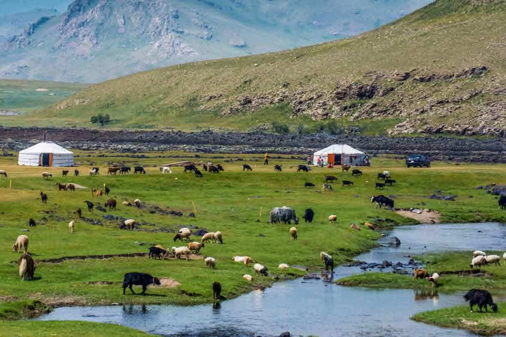 "몽골 고비사막과 테를지 6박 7일 여행 패키지 - ETE Travel Mongolia"